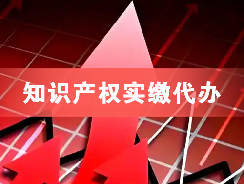 嘉善知识产权实缴资本代办